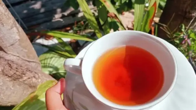 Ilustrasi wedang bunga kenanga (Foto: Dok. UMM)