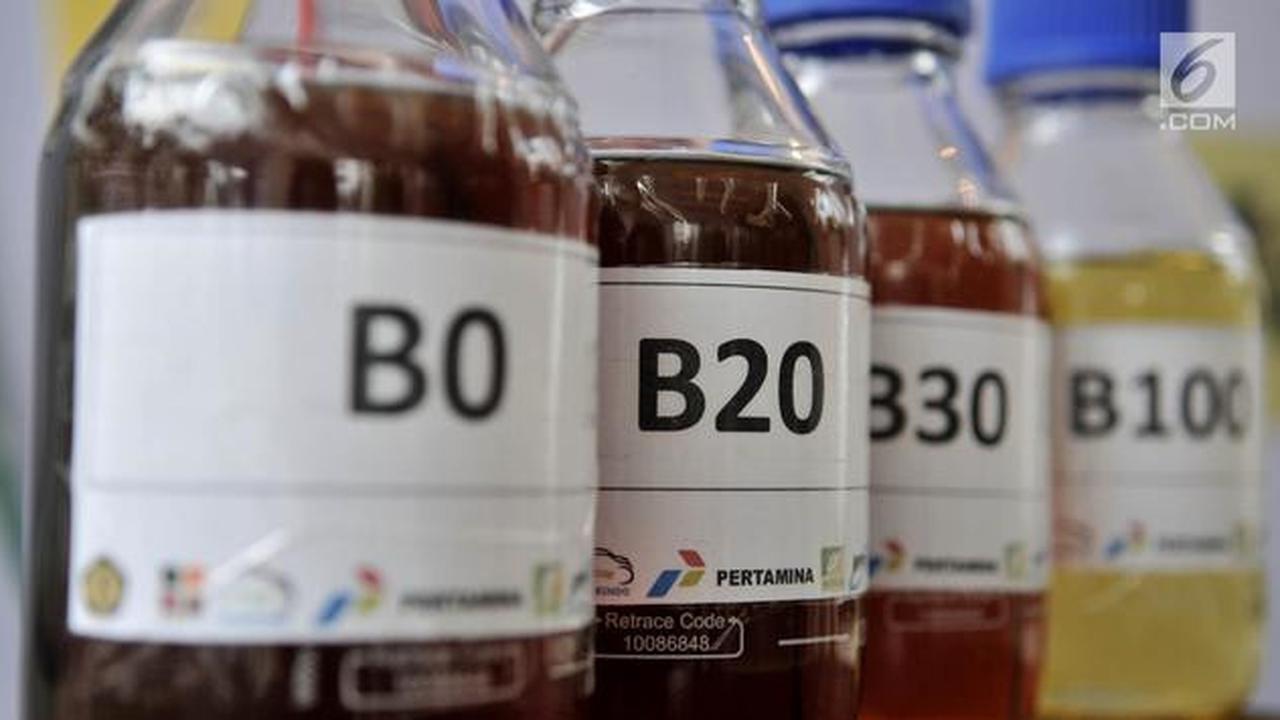 Uji B50 sektor Pertambangan Tunjukkan Hasil Positif