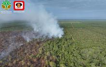 Riau Tetapkan Status Siaga Darurat Karhutla Hingga November 2026