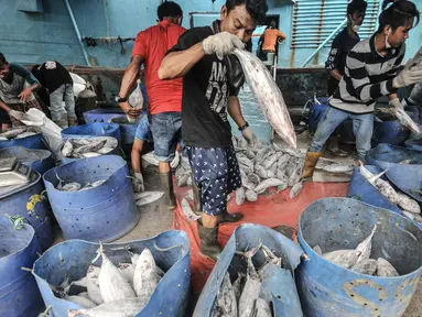 Aktivitas nelayan saat menurunkan ikan hasil tangkapan di Pelabuhan Muara Baru, Jakarta, Kamis (5/8/2021). Data KNTI mencatat, tingkat ekonomi nelayan kembali bangkit dan kian membaik sepanjang tahun 2021 meski masih berada di tengah pandemi Covid-19 yang belum usai. (merdeka.com/Iqbal S. Nugroho)