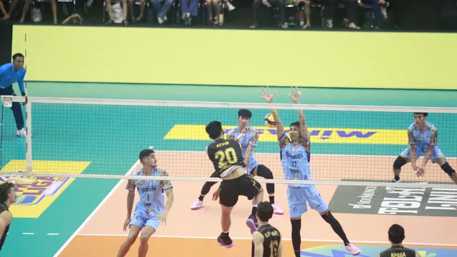PLN Mobile Proliga 2025