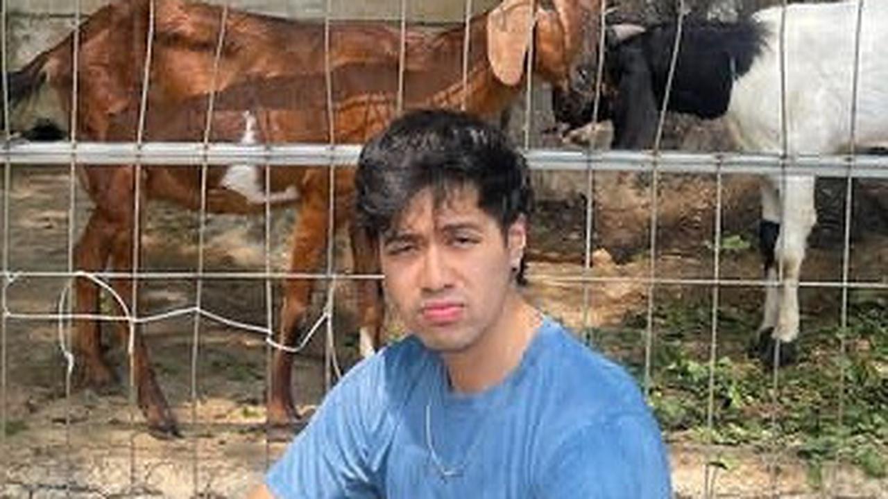 Selain dikenal sebagai musisi jenius, Gerald juga akrab di mata penggemar sebagai artis kocak. Berbekal bakat musiknya, Gerald membuat aransemen lucu merespons konten viral di Instagram maupun Tik Tok.