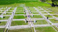 Gebrakan Banyuwangi: Beras Biofortifikasi dalam Skala Industri, Satu-satunya di RI