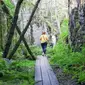 Ulko-Tammio di Finlandia mendesak turisnya untuk menikmati alam tanpa sibuk dengan ponsel. (Dok: Instagram @luontoon.fi)