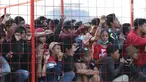 Suporter tim Macan Kemayoran menyaksikan latihan perdana Persija pasca menjuarai Liga 1 musim 2018 di Lapangan Wisma Aldiron, Jakarta, Senin (7/1). Dua pemain baru, Ryuji Utomo dan Bruno Matos terlihat ikut dalam latihan. (Liputan6.com/Helmi Fithriansyah)