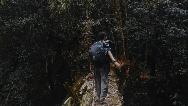 Jalur pendakian ke Gunung Niut di Kalimantan