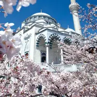 Tokyo Camii, Jepang. (tripadvisor.jp)