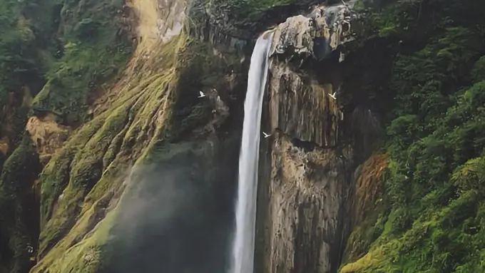 [Bintang] Nusa Tenggara