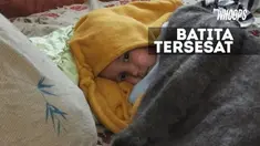 Hutan Siberia dikenal dengan suhunya yang dingin dan tempat tinggal berbagai binatang buas.