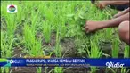 Simak informasi dalam Fokus Pagi edisi (14/01) dengan beberapa topik sebagai berikut, Banjir Terjang Permukiman, Jalan Lintas Barat Sumatra Longsor, Rumah Terbakar, Satu Tewas, Bentrok Massa Perguruan Silat, Banjir Rob Terjang Permukiman.