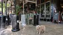 Kursi dan meja ditumpuk saat kafe dan restoran tutup saat aksi mogok yang dilakukan pemiliknya di pusat Athena, Yunani, Selasa (16/11/2021). Pemilik restoran, kafe, dan bar melakukan pemogokan selama 24 jam, memprotes aturan terkait Covid-19 dan biaya energi yang tinggi. (Louisa GOULIAMAKI / AFP)