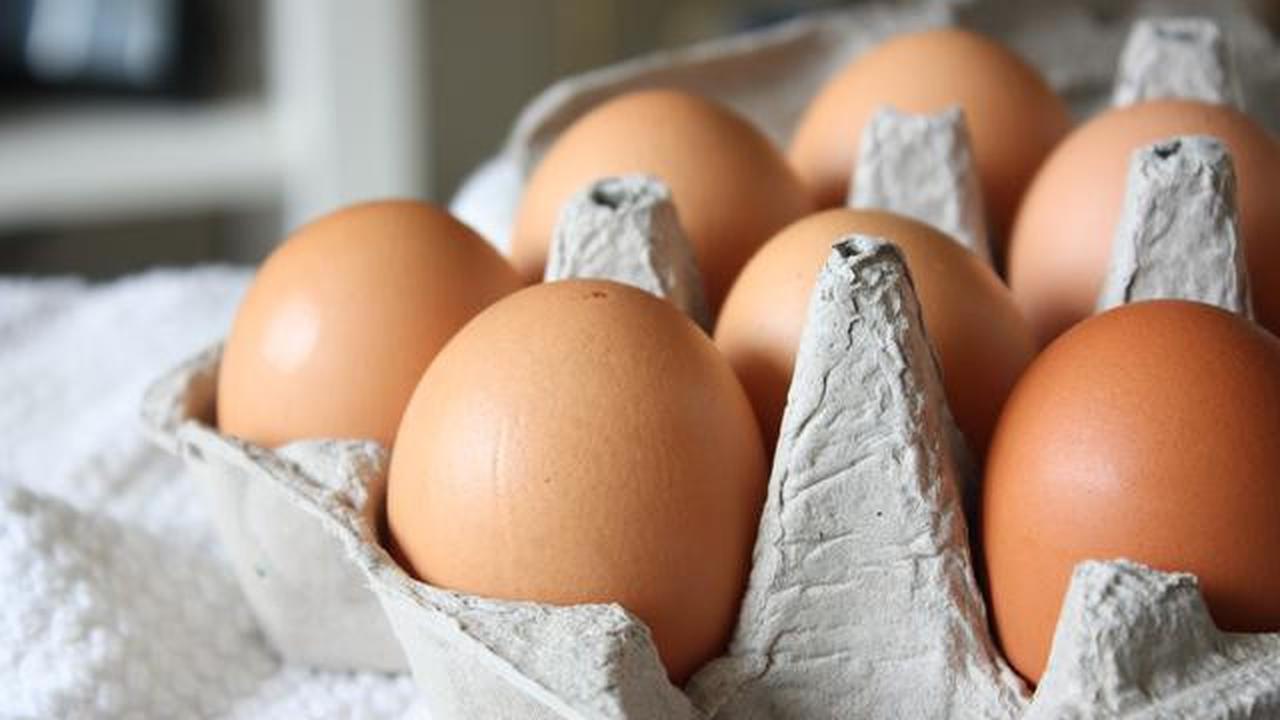 Cara Menambal Paku Longgar di Kayu dengan Telur Utuh, Bisa Jadi Solusi Darurat