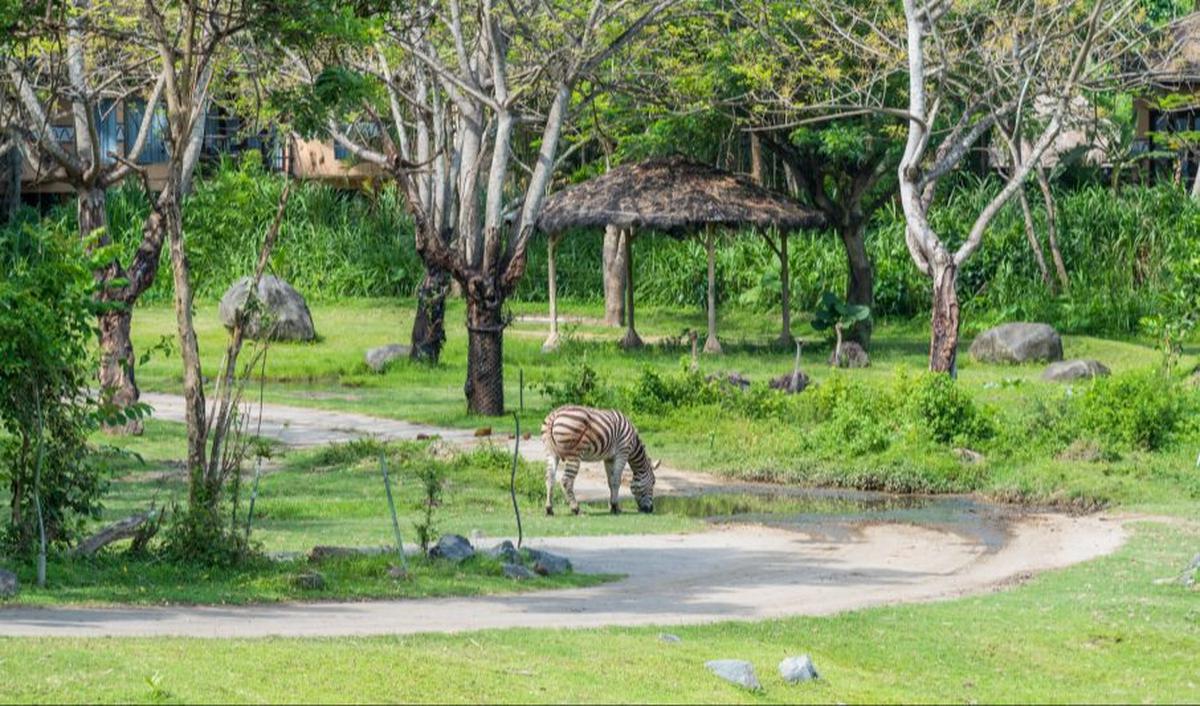 Bali Safari and Marine Park