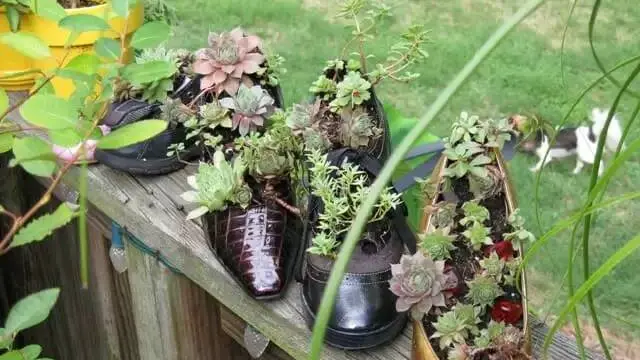 Jangan Dibuang, Ini 8 Potret Alih Fungsi Sepatu Bekas yang Bermanfaat