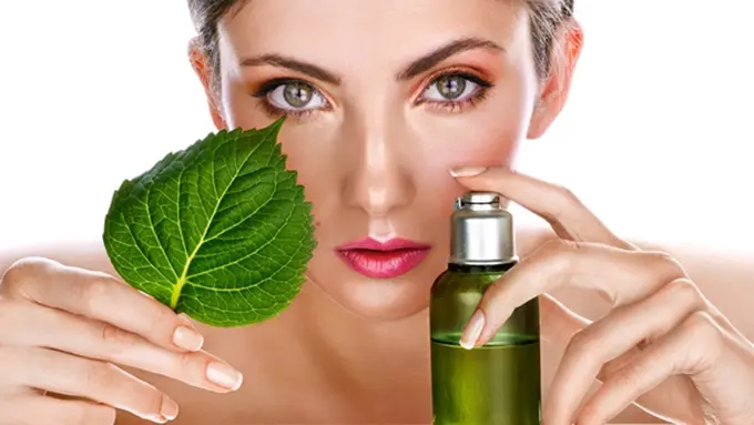 Courtesy ShutterStock.com