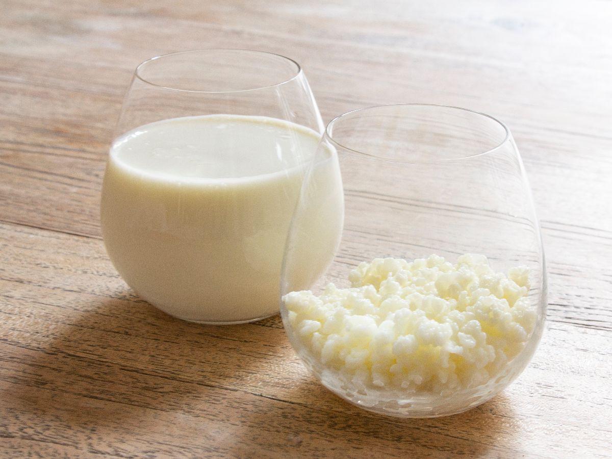 <b>6. Kefir</b><br>
