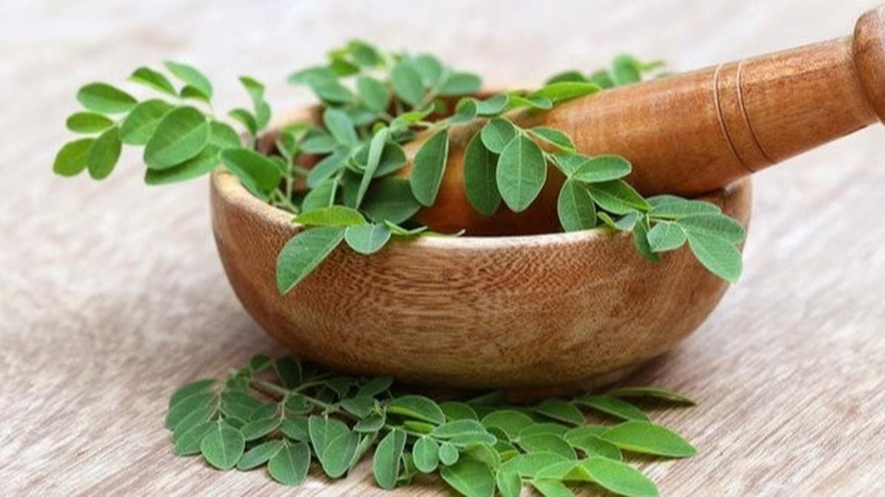 5 Jenis Daun untuk Diabetes dan Kolesterol, ini Manfaat & Cara Penggunaannya