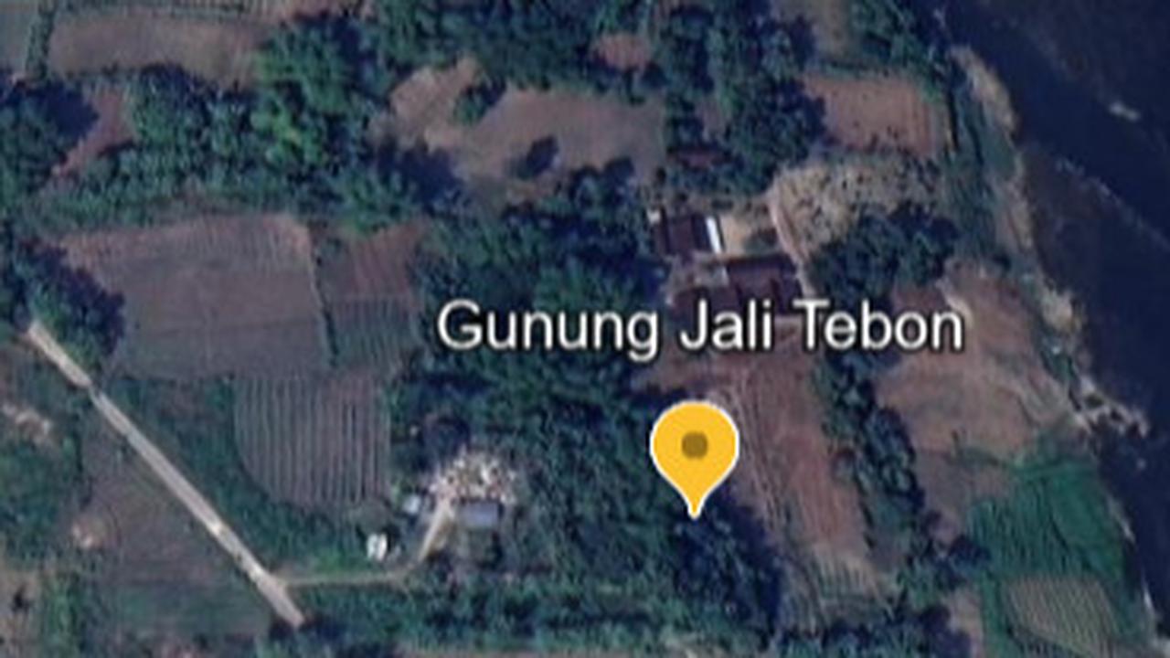 Desa di Bojonegoro Ini Jadi Daerah Istimewa sejak Kerajaan Majapahit, Syekh Jumadil Kubro Sesepuh Wali Songo Pernah Tinggal di Sini
