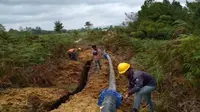 Jangan Meleset! Luhut Minta 1.000 Ha Lahan Food Estate Rampung di Akhir 2021