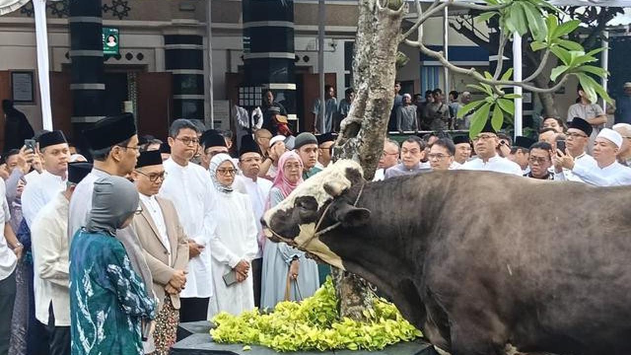 Cerita Warga Pilih Hewan Kurban Lebih Kecil saat Idul Adha 2026