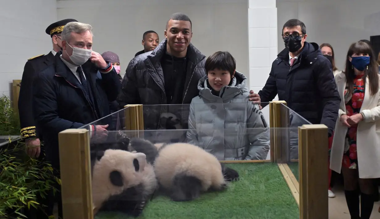 Pemain bola Prancis Kylian Mbappe (tengah kiri) dan juara loncat indah China Zhang Jiaqi (tengah kanan) berpose dengan anak panda di Kebun Binatang Beauval, Saint-Aignan-sur-Cher, Prancis, 18 November 2021. Mbappe dan Jiaqi jadi wali baptis anak panda, Yuandudu dan Huanlili. (GUILLAUME SOUVANT/AFP)