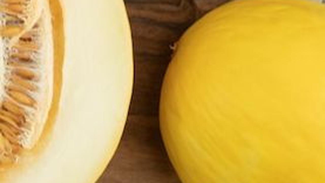 Air hujan justru bisa merusak buah melon
