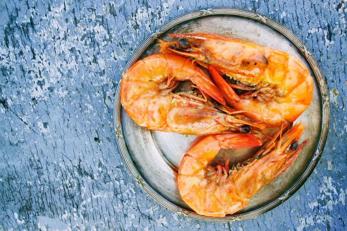 Ilustrasi Udang