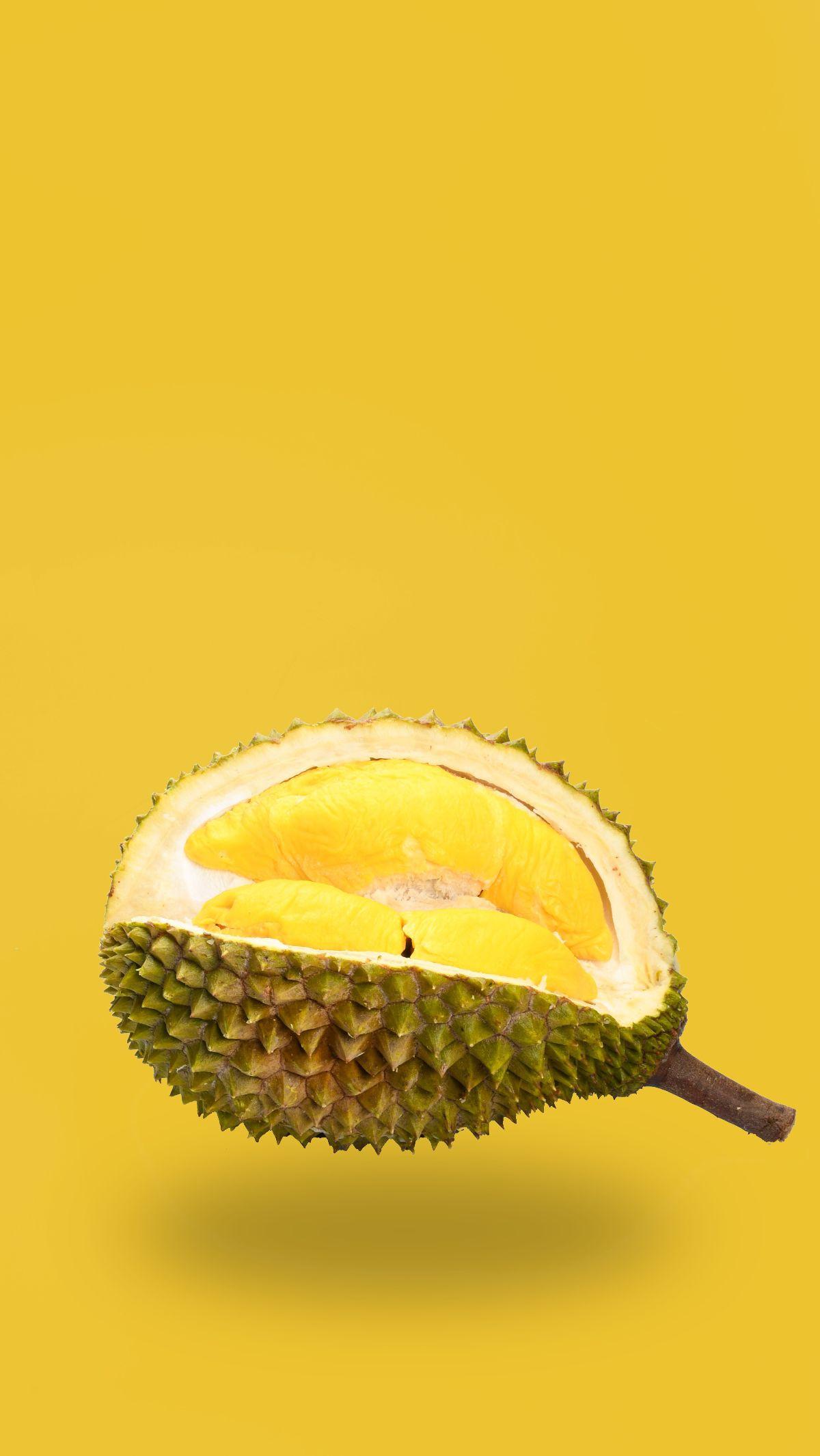 Durian yang juga dikenal sebagai &lsquo;Raja Buah&rsquo; sangatlah populer di negara-negara Asia Tenggara. Buah ini terkenal dengan baunya yang menyengat kuat. Ada yang menyukainya dan ada pula yang tidak tahan dengan buah ini. Rasanya yang khas tentu sangat nikm