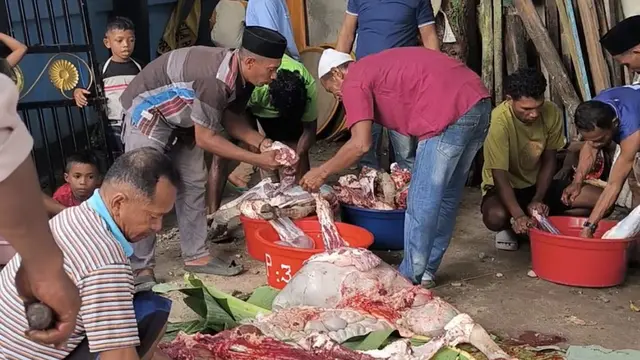 Penyaluran Hewan Kurban Dompet Dhuafa di Maluku (Foto: Lia/Liputan6.com)