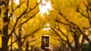 Seorang pengunjung mengambil gambar pohon ginkgo dalam warna musim gugur di Taman Luar Kuil Meiji di Tokyo, Kamis (18/11/2021). Pada pertengahan bulan November, barisan pohon ginkgo yang ada di taman ini akan berubah warna menjadi kuning keemasan. (Philip FONG / AFP)