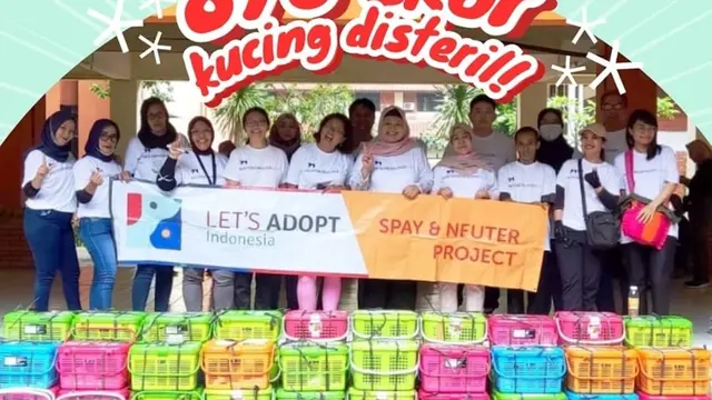 Program sterilisasi kucing oleh Let’s Adopt Indonesia.