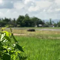 Memerankan tokoh nasional, peraih Piala Citra untuk Pemeran Pendukung Wanita Terbaik, Festival Film Indonesia 2014 dalam film Soekarno: Indonesia Merdeka itu juga siap jika nanti dibanding-bandingkan dengan tokoh aslinya. (Instagram/nyaiahmaddahlan)