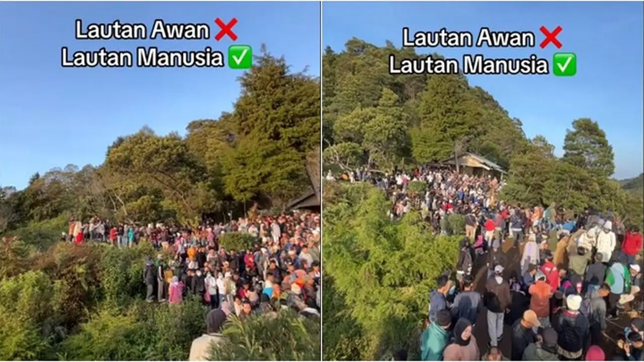 Bukit Sikunir di Dieng Penuh dengan Lautan Manusia, Niat Healing Justru Terjebak Mecet