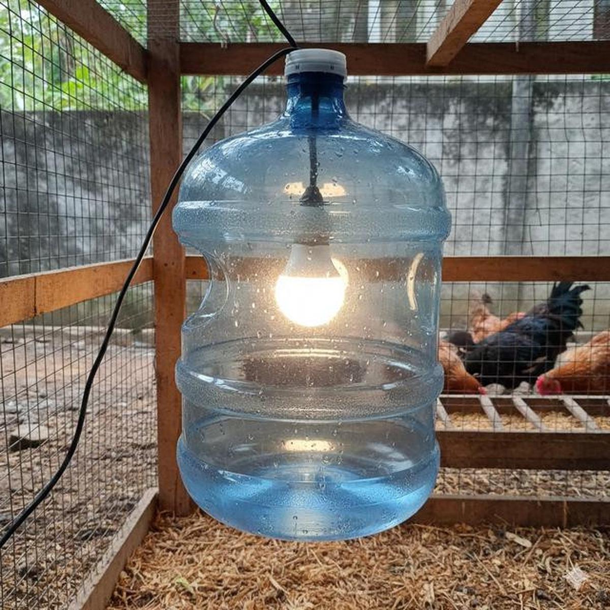 10 Desain Kandang Ayam dari Galon Bekas Sederhana, Ide Kreatif Ternak