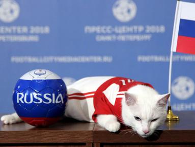 Kucing bernama Achilles memilih bendera Rusia saat memprediksi hasil laga antara Rusia kontra Arab Saudi di Saint Petersburg, Rusia, Rabu (13/6/2018). Kucing putih dan tuli ini menjadi hewan peramal resmi di Piala Dunia 2018. (AP/Dmitri Lovetsky)