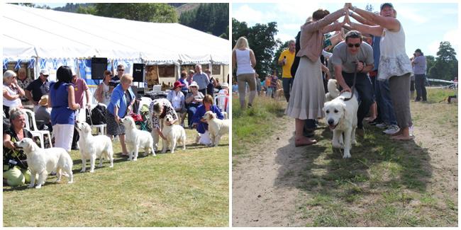 (c)huffingtonpost.com