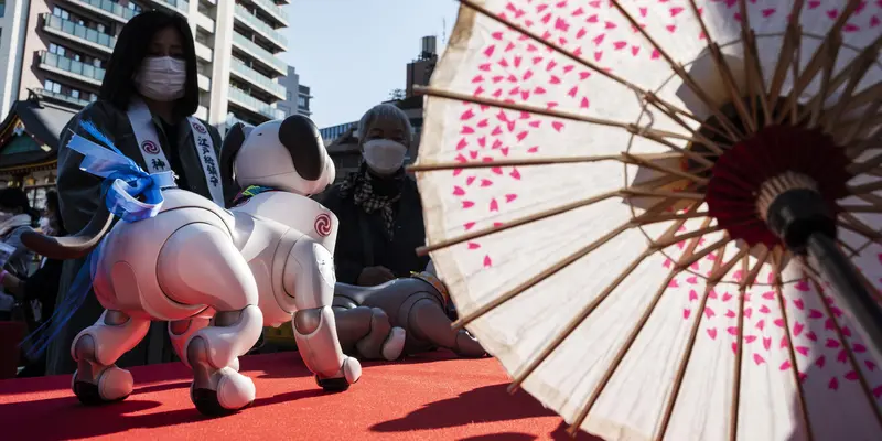 Robot Anjing Aibo Ramaikan Festival Shichi Go San di Jepang