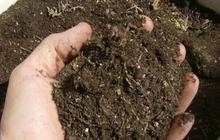 Waspada! Beredar Pupuk Palsu bikin Petani Merugi, Ini Cara Membedakannya dengan yang Asli
