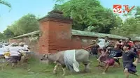 Perang Topat, Perang Damai
