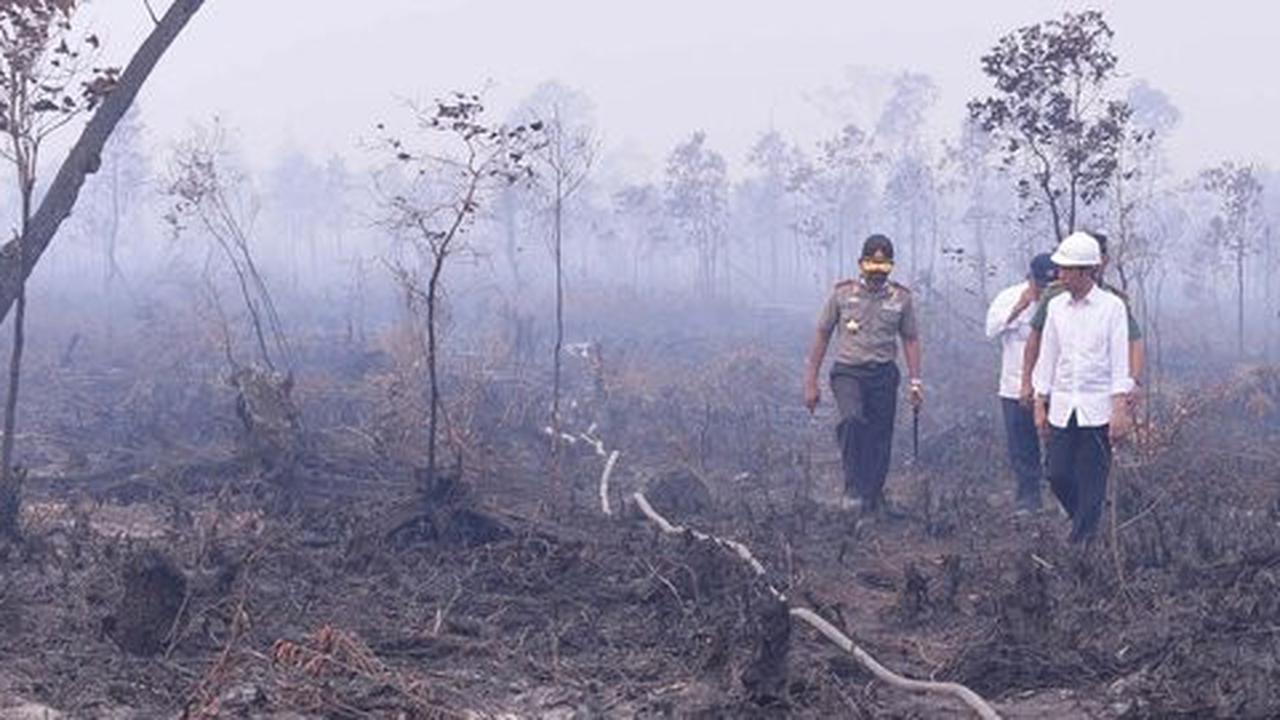 DPR: Harusnya dari awal presiden pimpin pemadaman kebakaran hutan