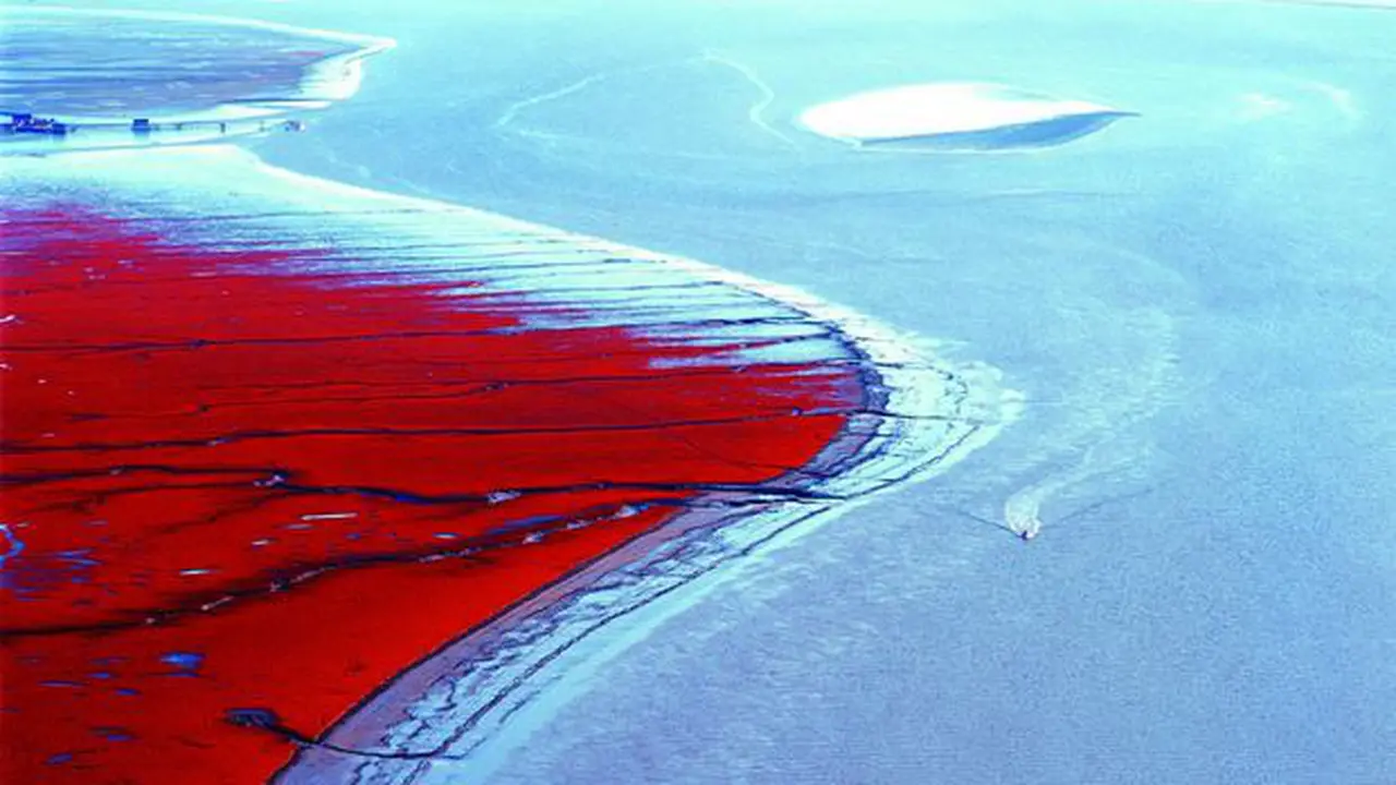 Red beach in China