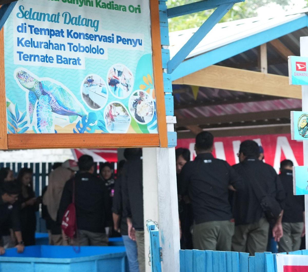 Konservasi ini untuk dua jenis penyu, yakni penyu hijau dan sisik. Setiap Februari, ratusan penyu akan bertelur di Pantai Tobololo ini. Satu penyu dapat bertelur hingga 150 butir.&nbsp;