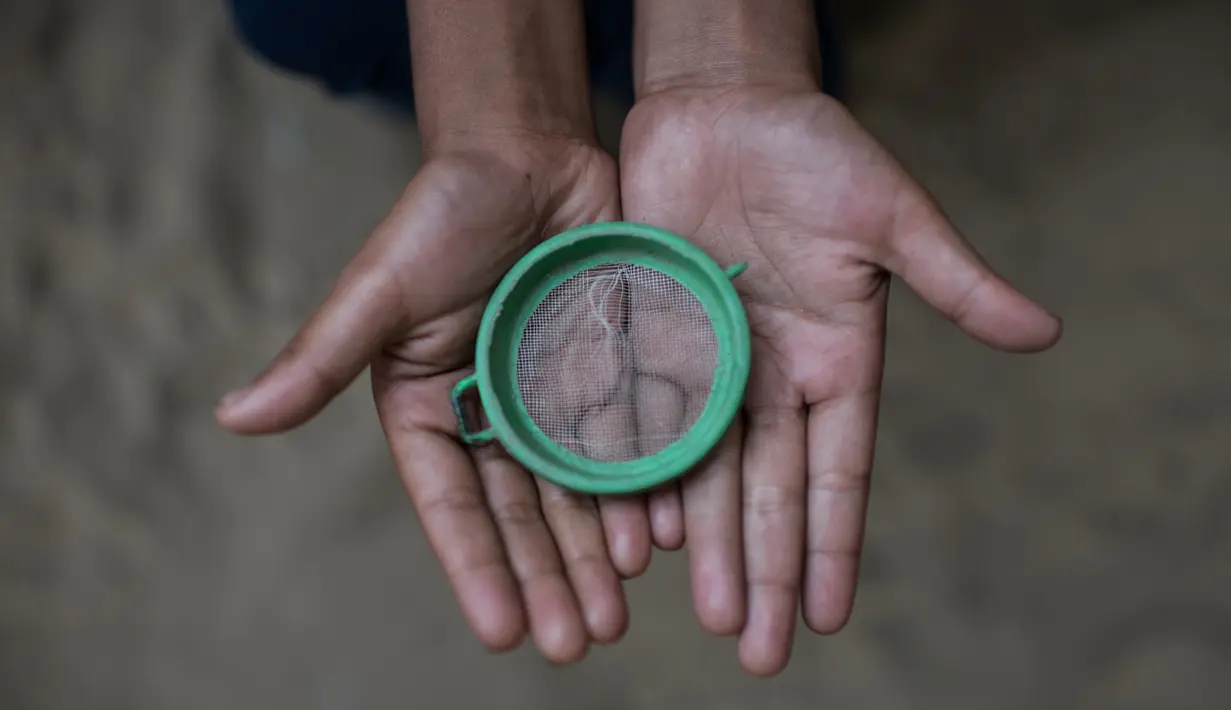 Gadis Rohingya berumur 7 tahun, menunjukkan saringan kecil yang dijadikan mainnya di kamp pengungsi Shamlapur di Cox's Bazar (1/12). Berbeda dengan anak-anak normal, mereka bermain dengan mainan seadanya. (AFP Photo/Ed Jones)
