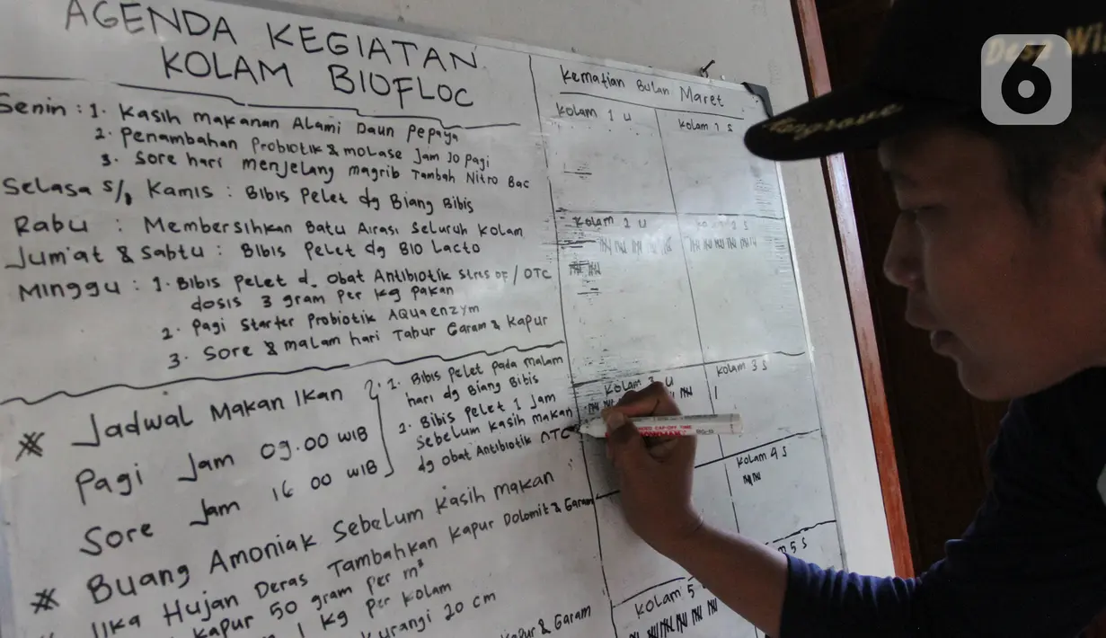 Masyarakat Pelestarian Hutan Pesisir (KMPHP) membuat agenda kegiatan kolam bioflok di Desa Kaliwlingi Kabupaten Brebes, Jawa Tengah (28/03/2022). Kolaborasi Yayasan KEHATI dan KMPHP sebagai dukungan program pemberdayaan masyarakat dan sinkronisasi dari kegiatan ekowisata. (Liputan6.com/HO/Ading)