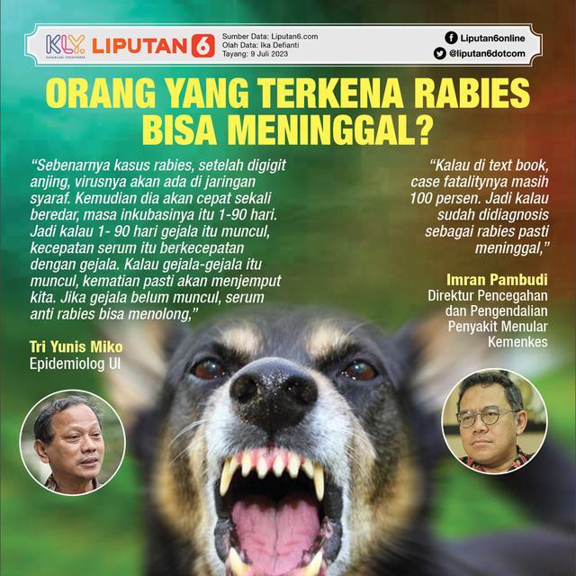 infografis rabies