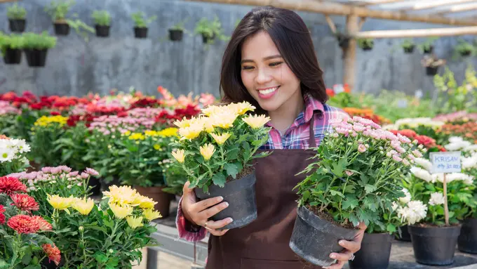 zodiak pecinta tanaman