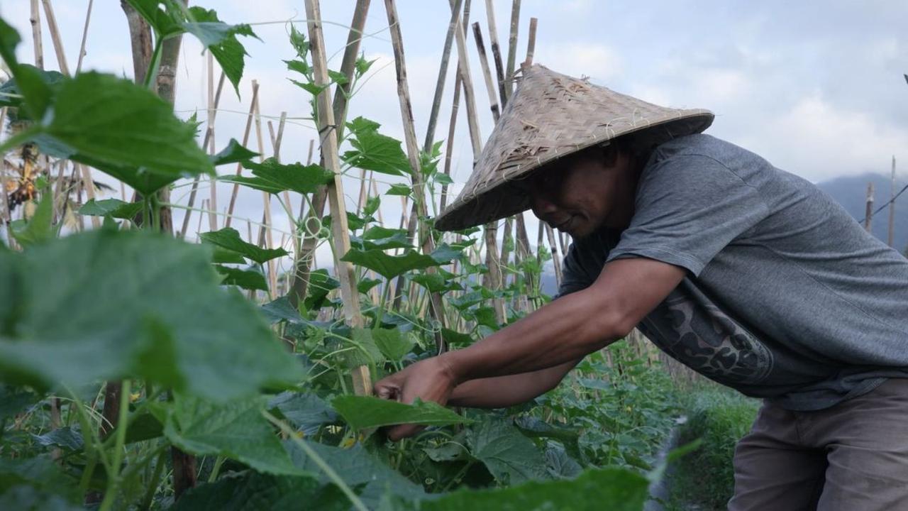BUMDes Angseri juga mendorong warga desa melakukan pembayaran melalui digital yang telah difasilitasi BRI. Tentu cara ini sebagai bagian dalam membantu meningkatkan literasi keuangan bagi warga desa.<br>