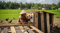 Cara Membuat Pintu Kandang Ayam Otomatis untuk Peternak Modern, Praktis dan Aman