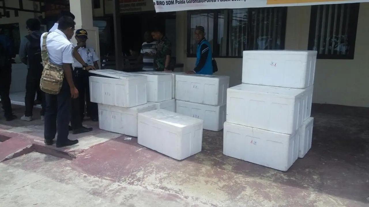 Ribuan Ekor Tikus Beku Diselundupkan Lewat Pelabuhan Gorontalo