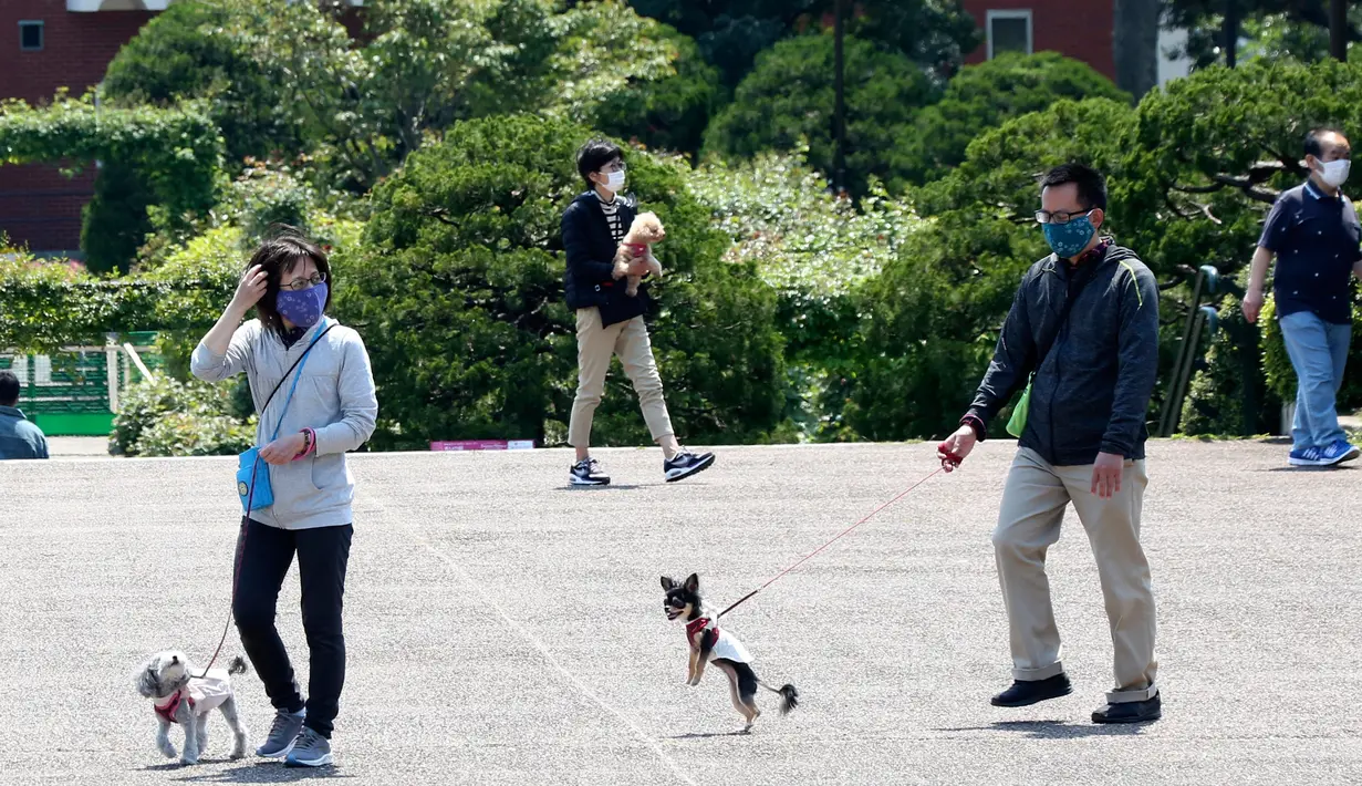 Orang-orang mengenakan masker berjalan bersama anjingnya selama pandemi Covid-19 di sebuah taman di Yokohama, dekat Tokyo, (29/4/2020). PM Jepang Shinzo Abe memperluas keadaan darurat ke seluruh Jepang dari hanya Tokyo dan perkotaan lainnya. daerah sebagai virus terus menyebar. (AP /Koji Sasahara)